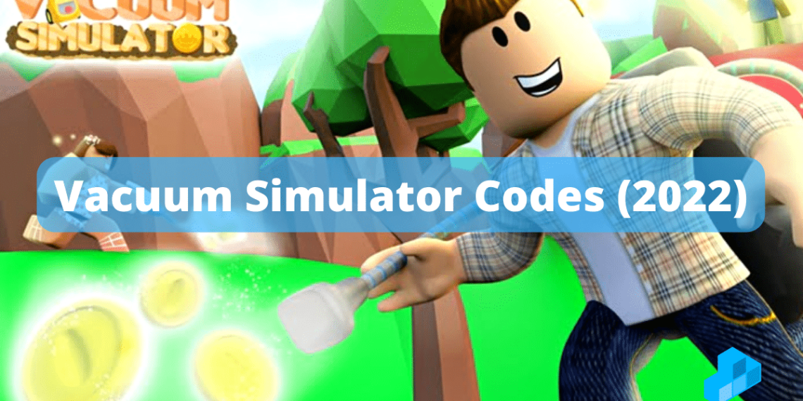 Vacuum Simulator Codes