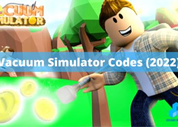 Vacuum Simulator Codes