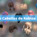 Roblox Hair Codes ID | 1000 Exclusive IDs February 2023