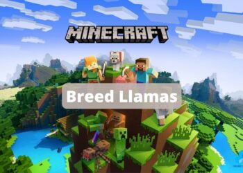 How to breed Llamas in Minecraft