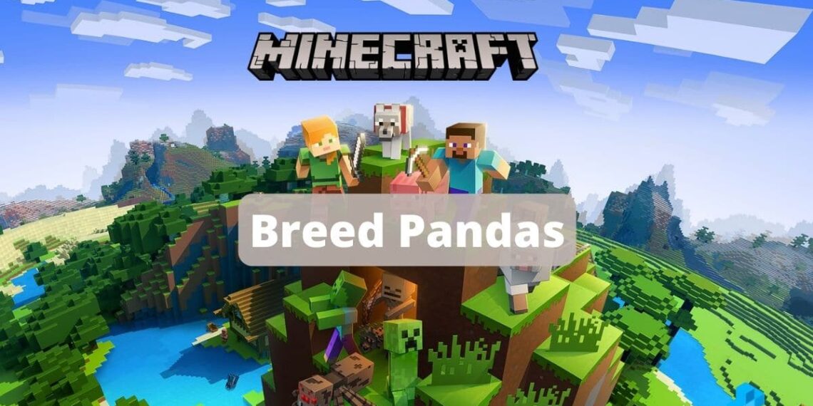 How to breed Pandas in Minecraft