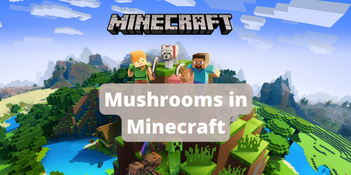 How to grow mushrooms in Minecraft