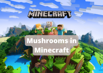 How to grow mushrooms in Minecraft