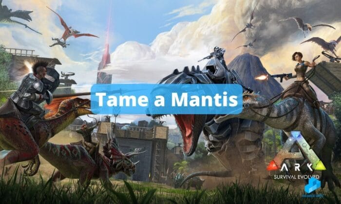 How to tame a Mantis Ark