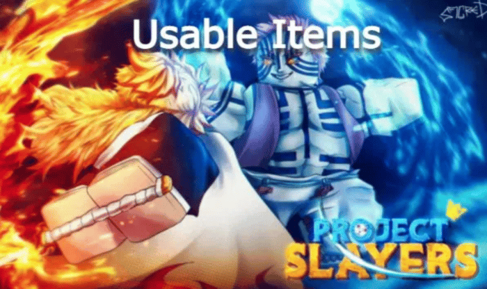 usable items in project slayers