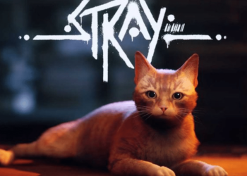 How to meow in stray
