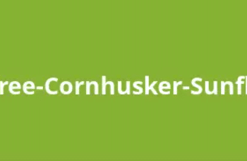 pine tree-cornhusker-sunflower