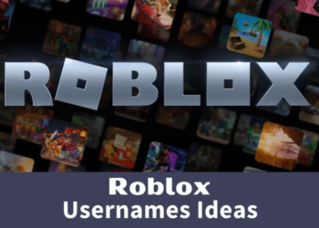 Funny Roblox Usernames
