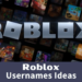 Funny Roblox Usernames
