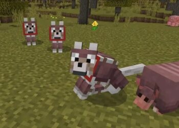 Lobos con armadura en Minecraft escoltando a un armadillo, preparándose para la aventura en un mundo pixelado