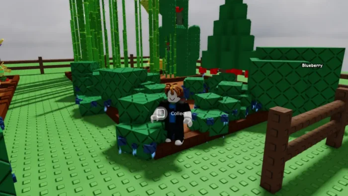 A player stands among ripe blueberry bushes in Roblox’s "Grow a Garden," ready to collect fruit in a fenced garden area.