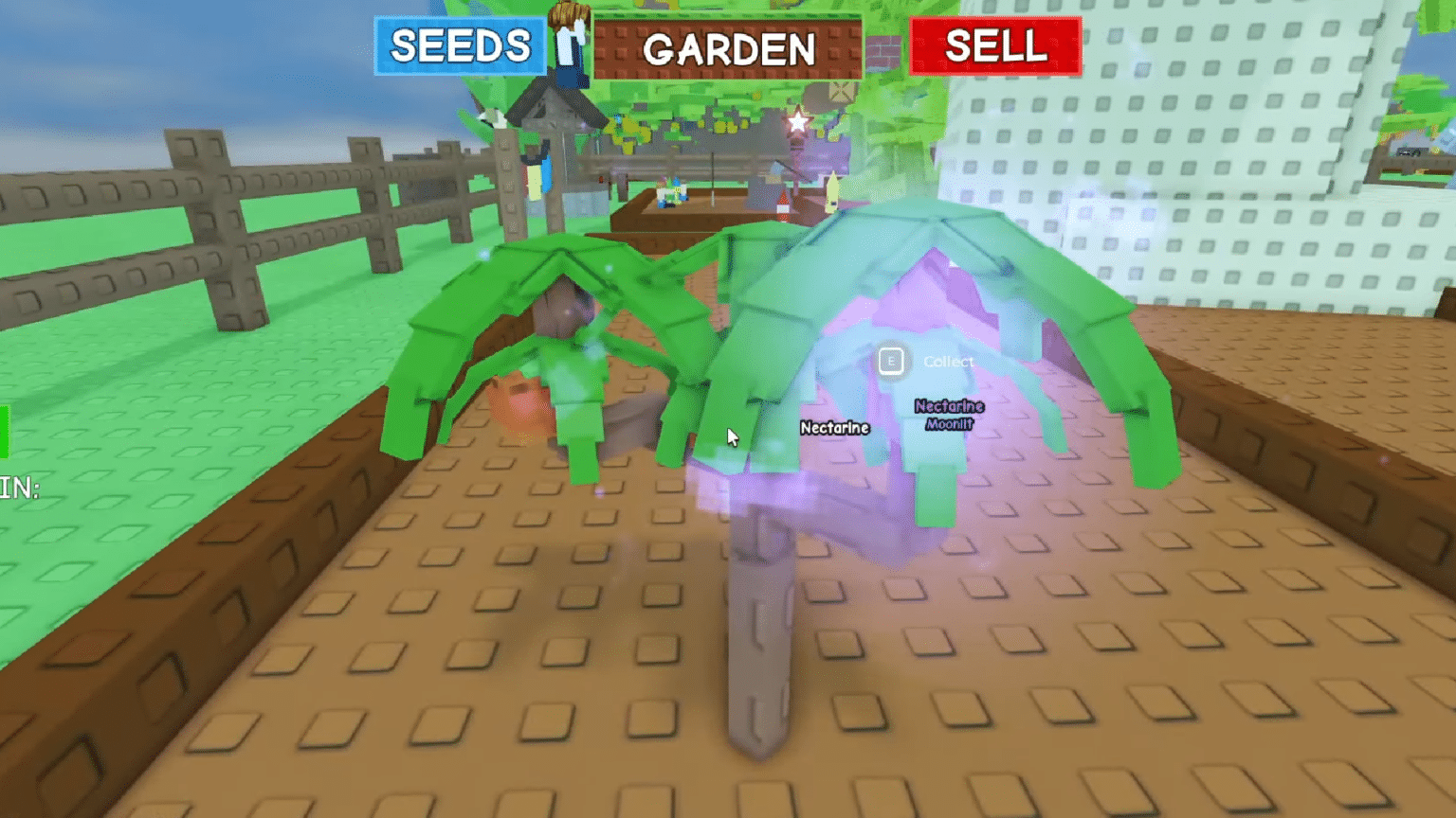 How To Grow A Peach In Grow A Garden Roblox HDG How To Grow A Peach 1536x864 