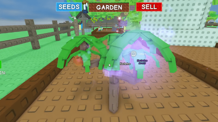 Two peach trees labeled “Nectarine” and “Moonlit” glow with magic sparkles in a garden plot in Roblox Grow a Garden, with SEEDS, GARDEN, SELL menu above.