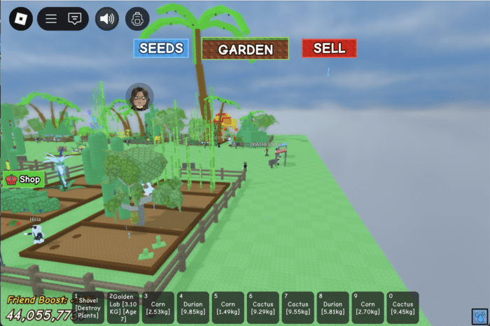 A pear tree grows in a fenced garden plot during rain in Roblox’s "Grow a Garden," with players nearby and SEEDS, GARDEN, SELL menu at the top.