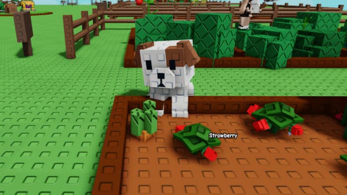 A dog stands beside strawberry plants in Roblox’s "Grow a Garden" game, with crops growing in fenced garden plots.